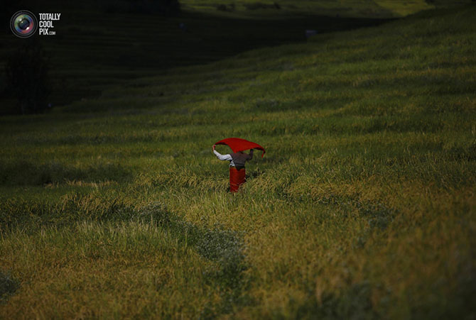 Неделя в фотографиях Неделя в фотографиях