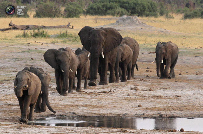Неделя в фотографиях Неделя в фотографиях
