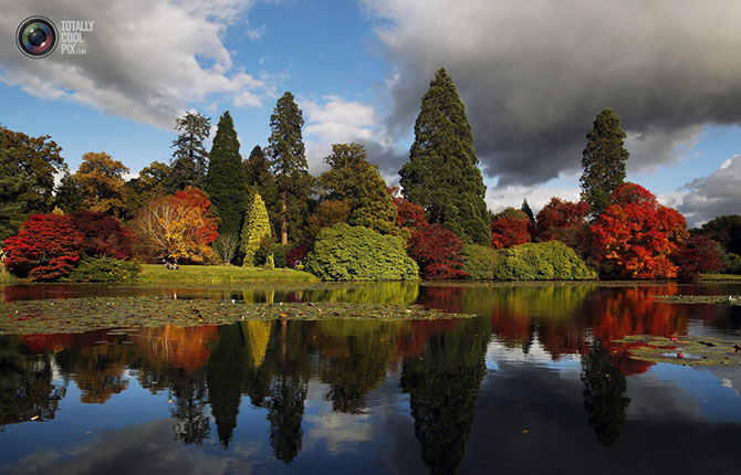 Неделя в фотографиях Неделя в фотографиях