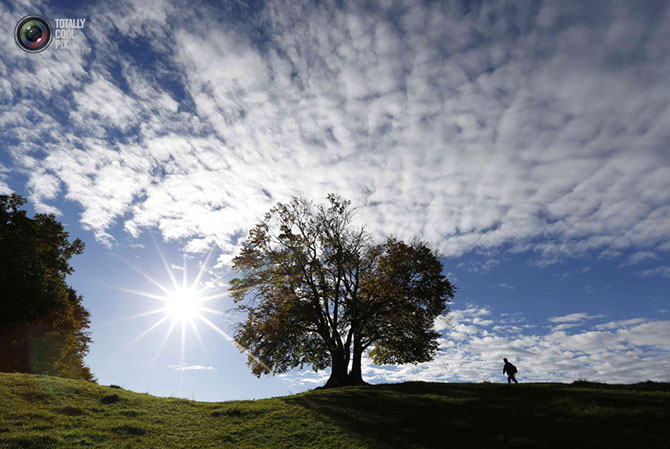 Неделя в фотографиях Неделя в фотографиях