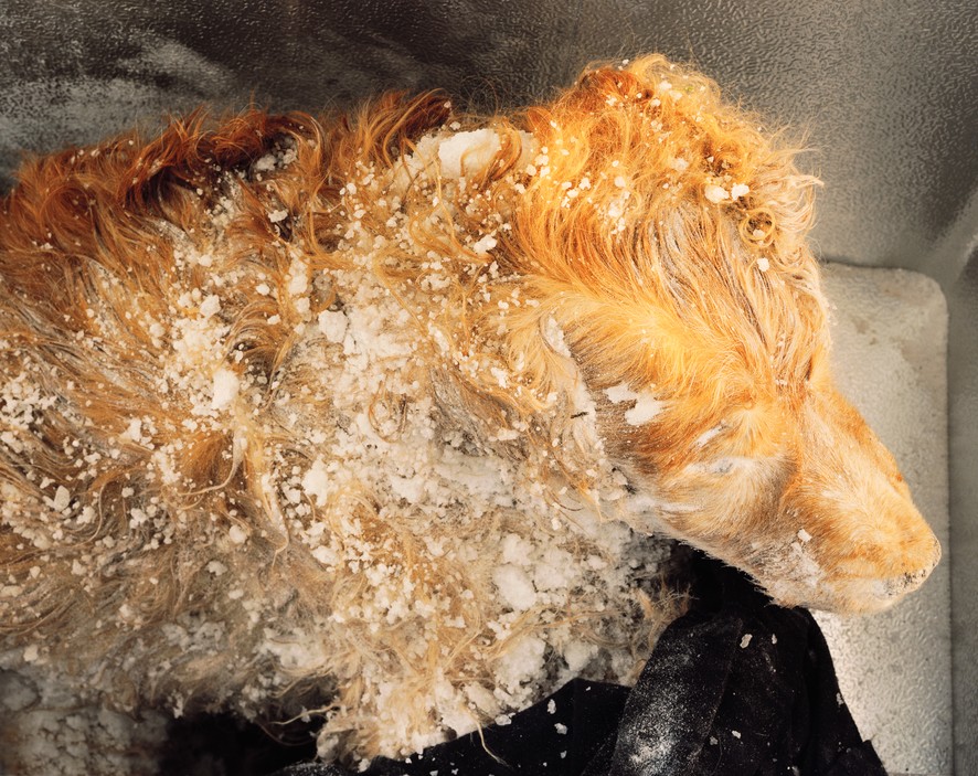 Холодный прием Холодный прием