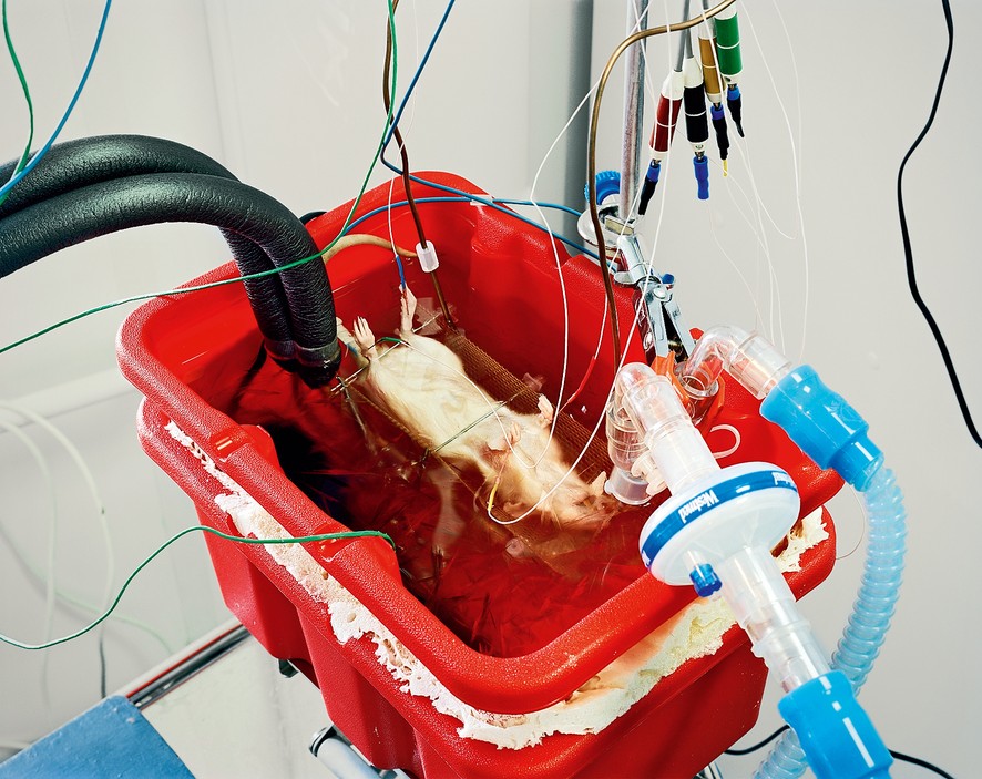 Холодный прием Холодный прием