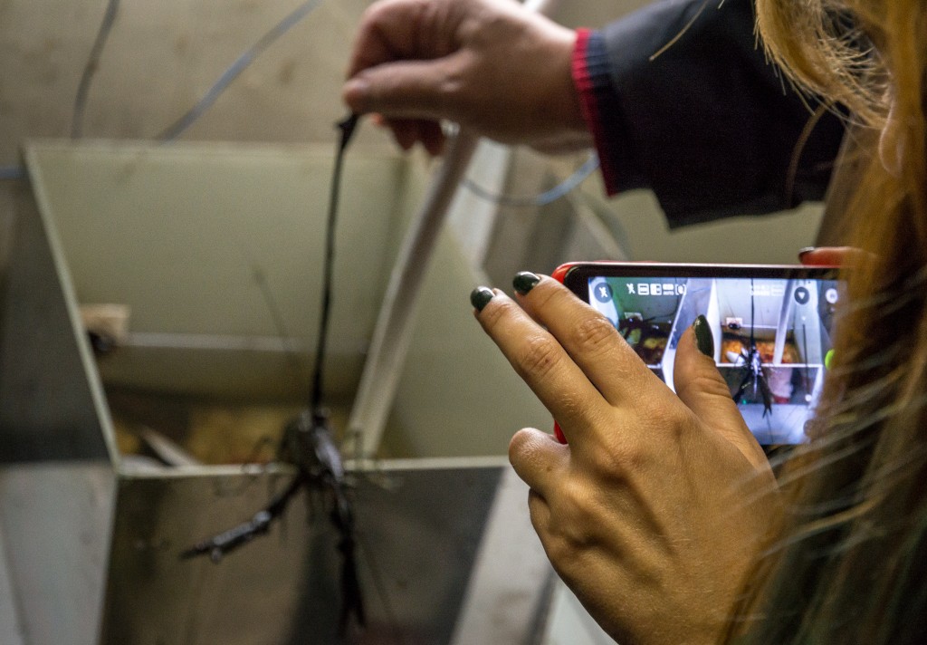 Как это работает: Канализация большого города