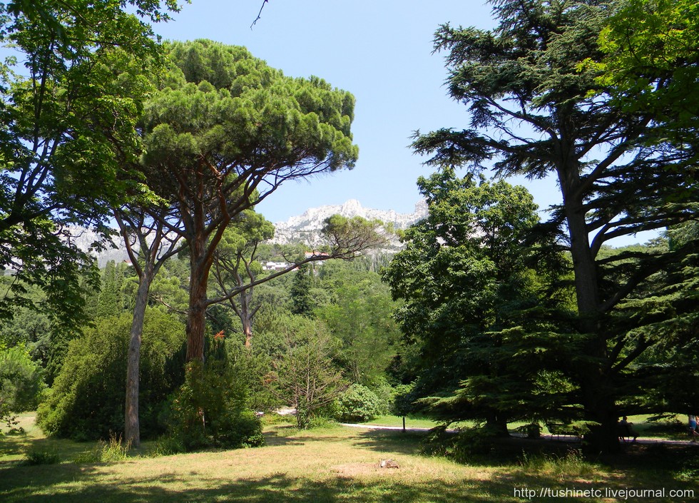 Алупкинский парк: идеальное слияние природы с творчеством человека