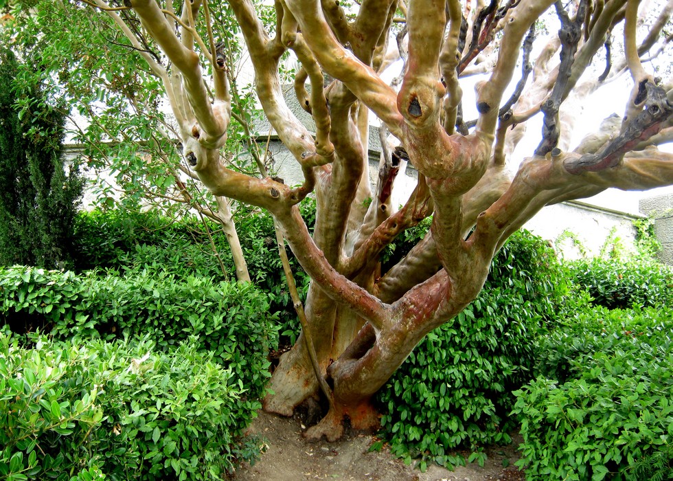 Алупкинский парк: идеальное слияние природы с творчеством человека