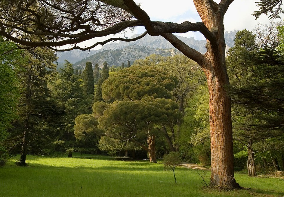 Алупкинский парк: идеальное слияние природы с творчеством человека