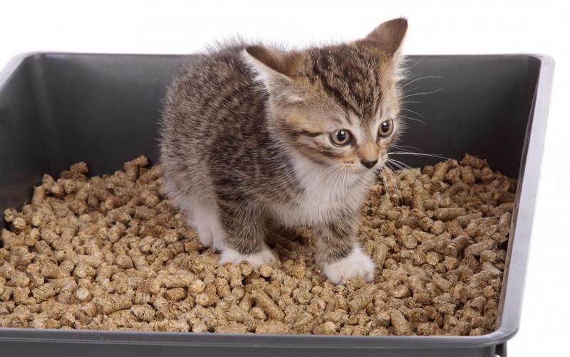 Народные средства, которые избавят от неприятных запахов ваш дом и тело