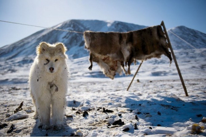 От Шпицбергена до Сахары: самые пустынные места Земли От Шпицбергена до Сахары: самые пустынные места Земли