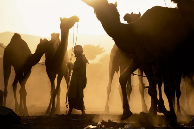 От Шпицбергена до Сахары: самые пустынные места Земли От Шпицбергена до Сахары: самые пустынные места Земли