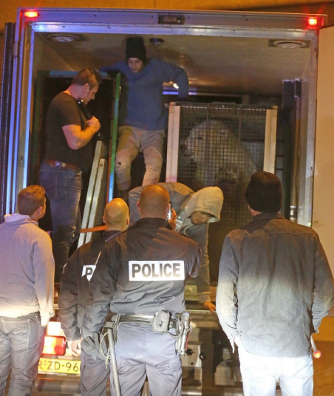 Неделя в фотографиях