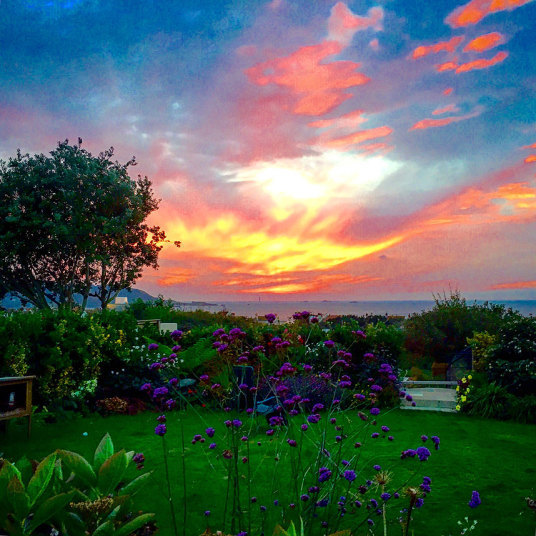 Неделя в фотографиях