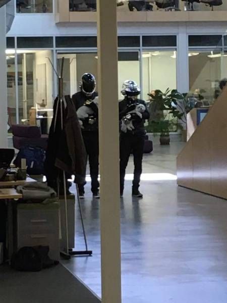 Порция картинок