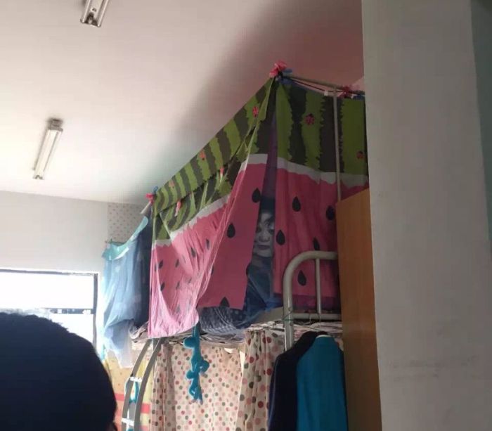 Порция картинок