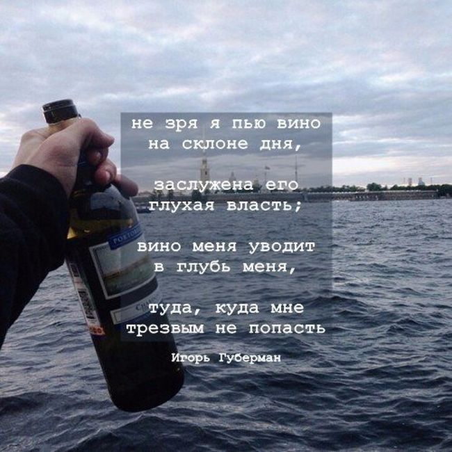 Порция картинок