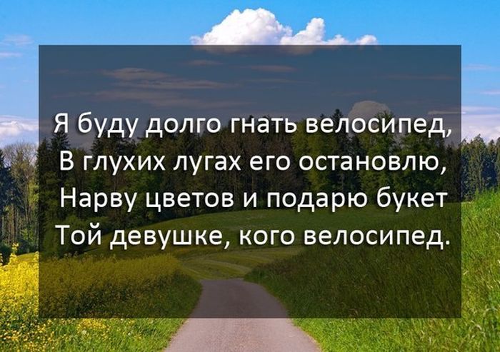 Порция картинок