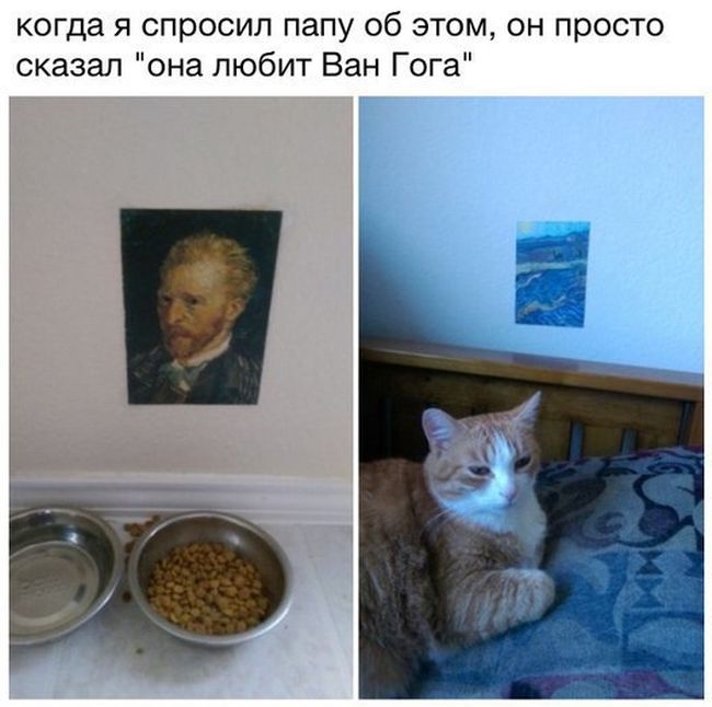 Порция картинок