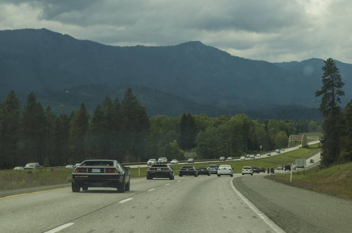 Порция картинок