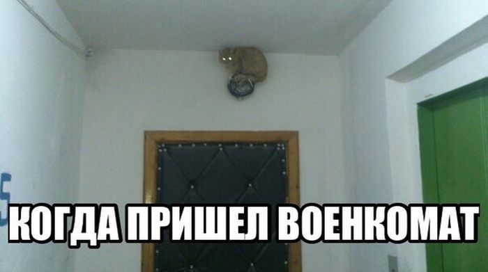 Порция картинок