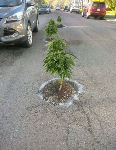 Порция картинок