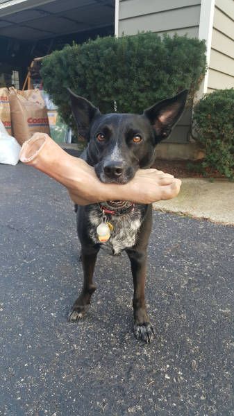 Порция картинок