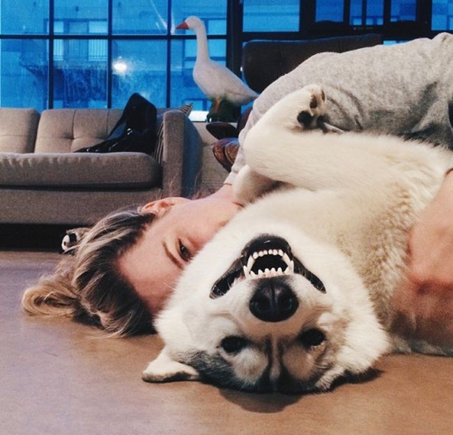 Порция картинок