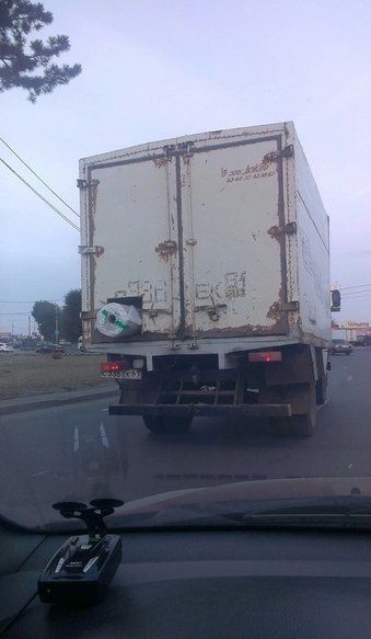 Порция картинок