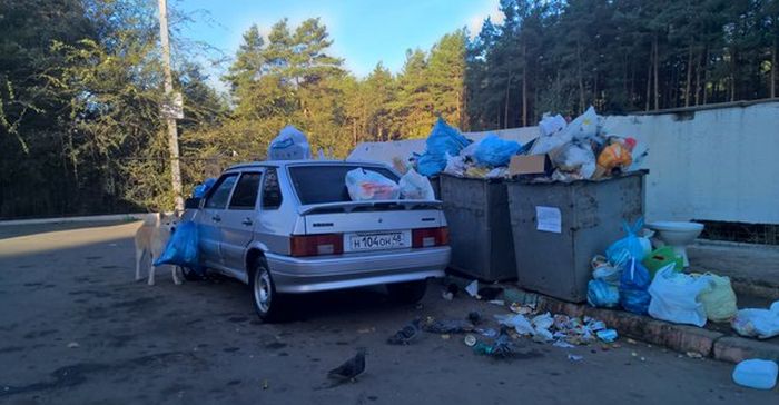 Порция картинок