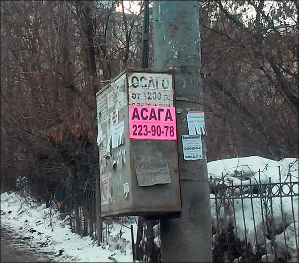 Подборка забавных и смешных надписей