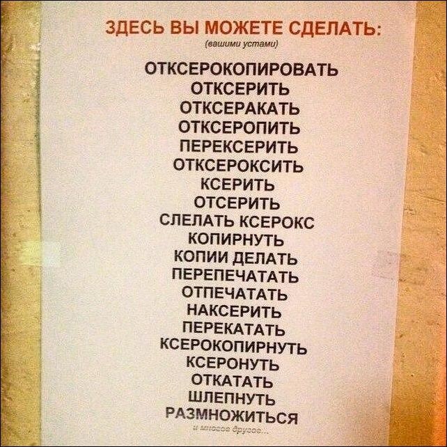 Подборка забавных и смешных надписей
