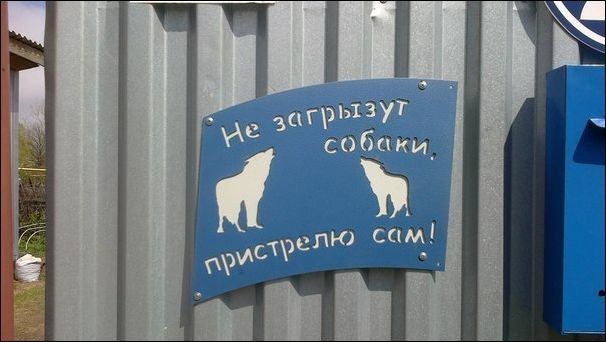 Подборка забавных и смешных надписей