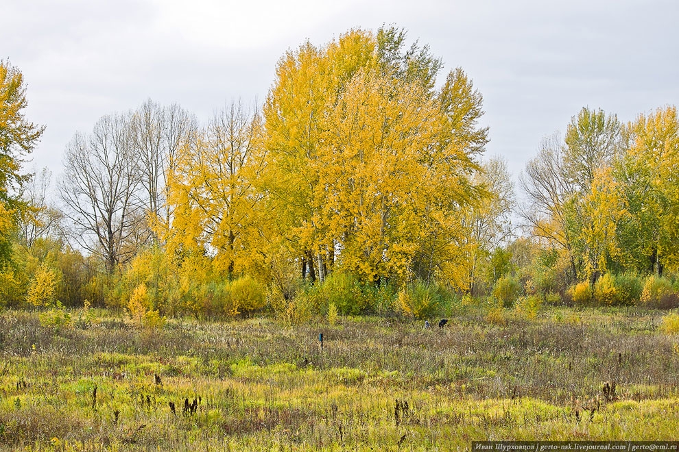 Малая Западно-Сибирская железная дорога
