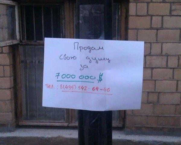 Прикольные картинки