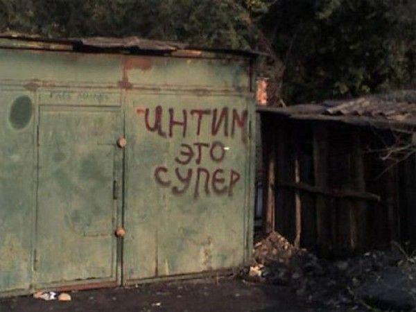 Прикольные картинки