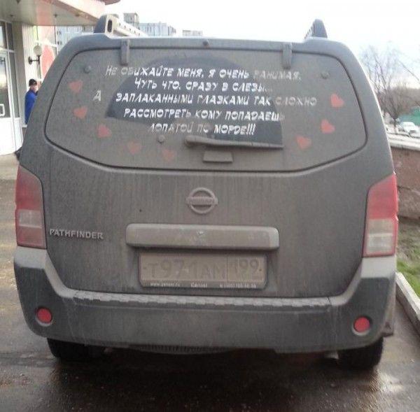 Прикольные картинки