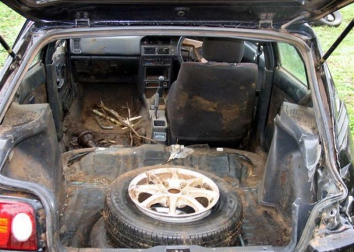 Нашли угнанный автомобиль, а вместе с ним и... (4 фото)