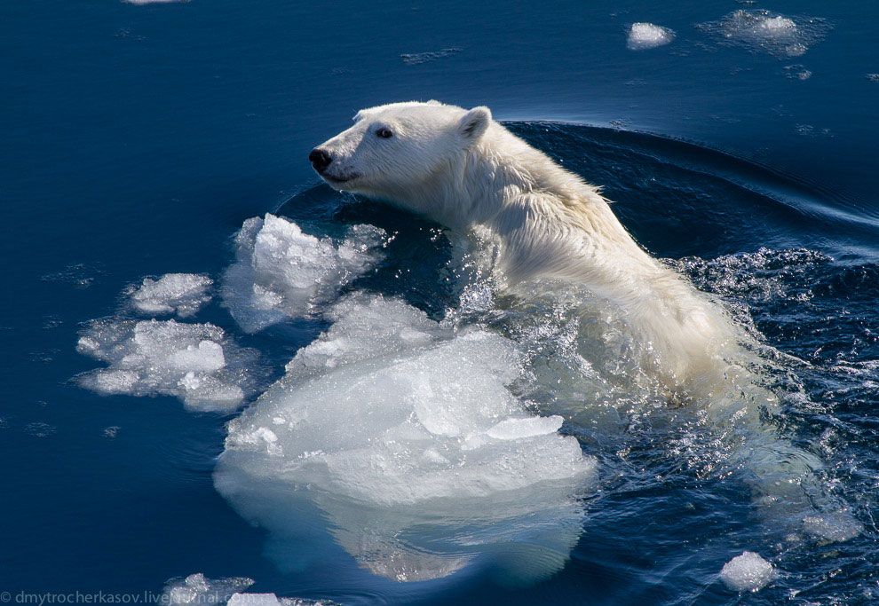Земля Франца Иосифа Земля Франца Иосифа