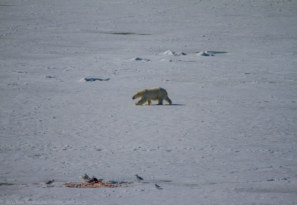 Земля Франца Иосифа Земля Франца Иосифа