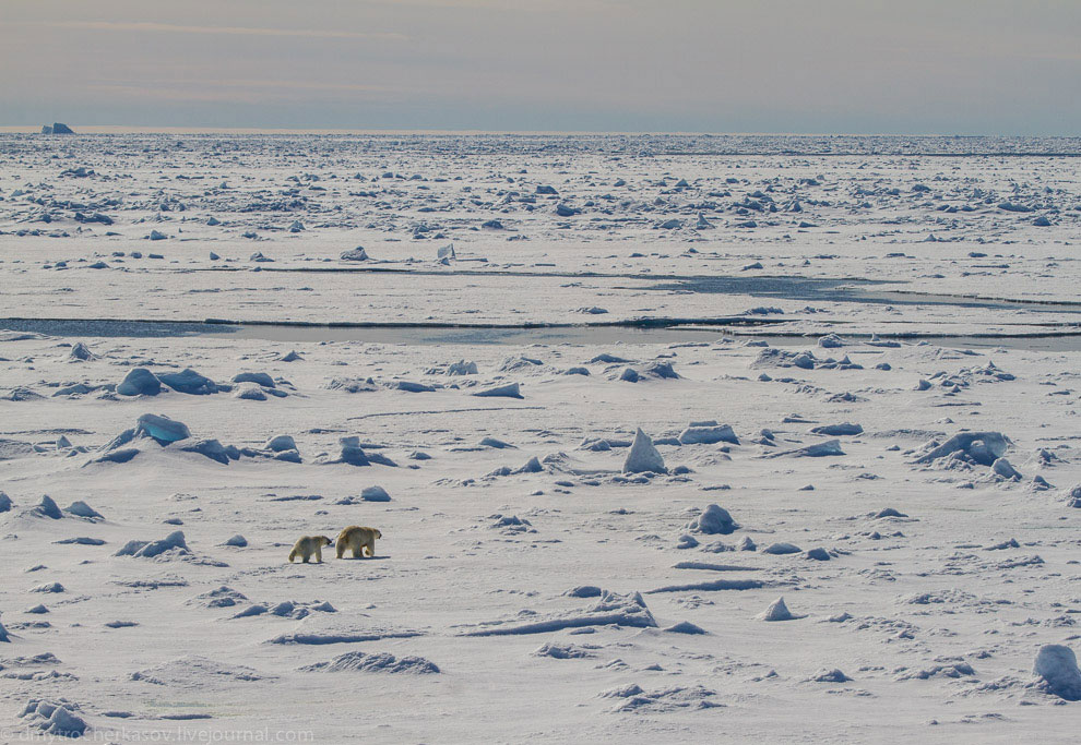 Земля Франца Иосифа Земля Франца Иосифа
