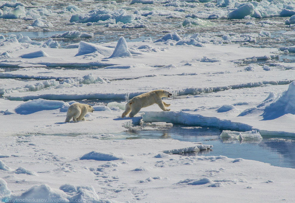 Земля Франца Иосифа Земля Франца Иосифа