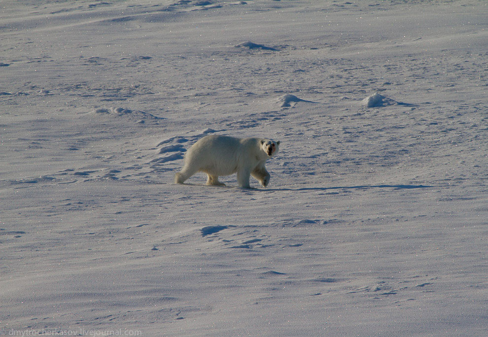 Земля Франца Иосифа Земля Франца Иосифа