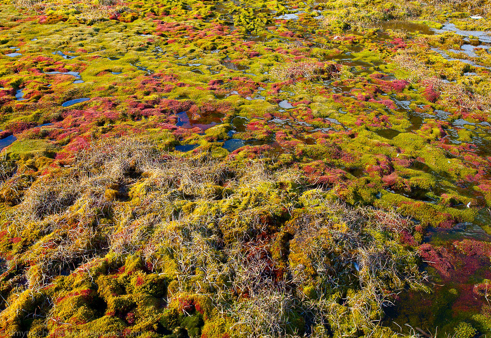 Земля Франца Иосифа Земля Франца Иосифа