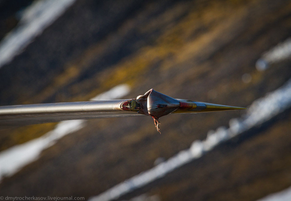 Земля Франца Иосифа Земля Франца Иосифа