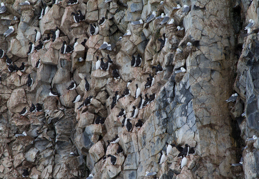 Земля Франца Иосифа Земля Франца Иосифа