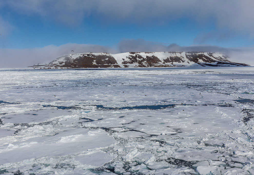 Земля Франца Иосифа Земля Франца Иосифа