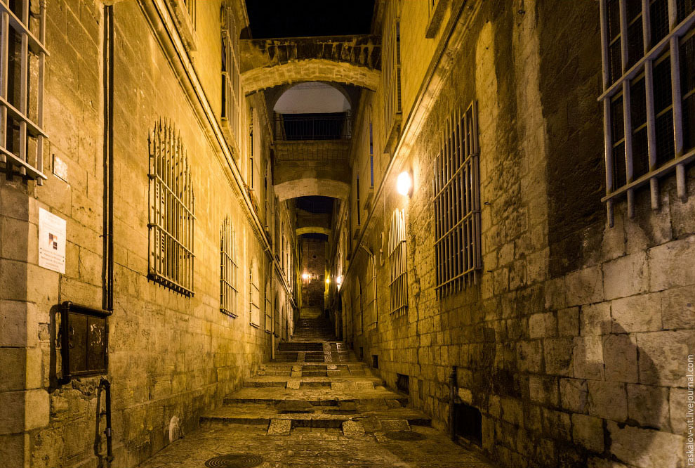 Путешествие в Израиль Путешествие в Израиль