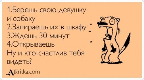 Лучшие «аткрытки» года