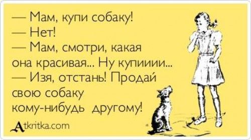 Лучшие «аткрытки» года