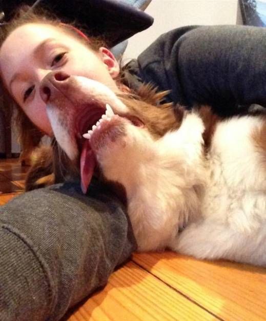 Лучшие фотобомбы 2013 года с участием животных