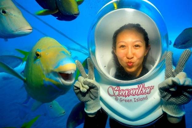 Лучшие фотобомбы 2013 года с участием животных