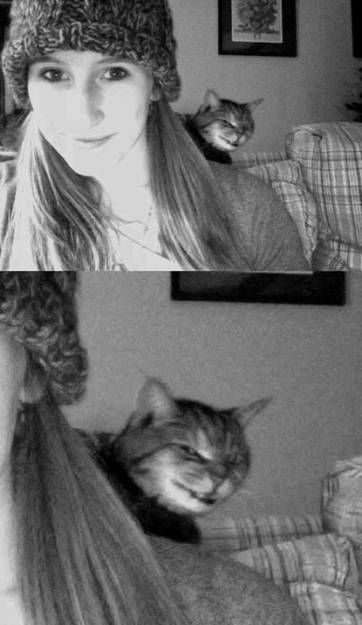 Лучшие фотобомбы 2013 года с участием животных